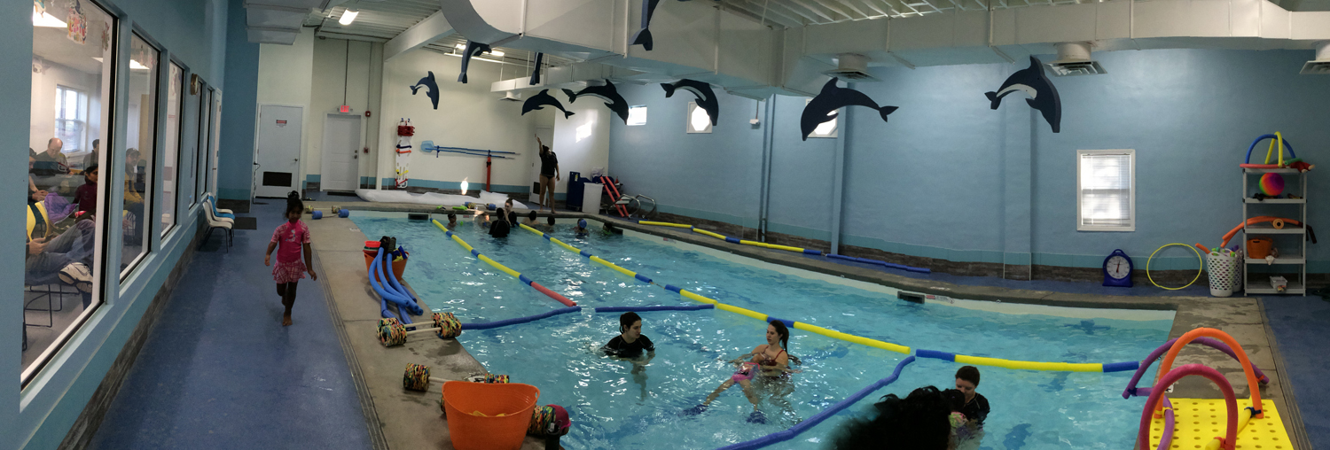 Dolphin on sale swimming school